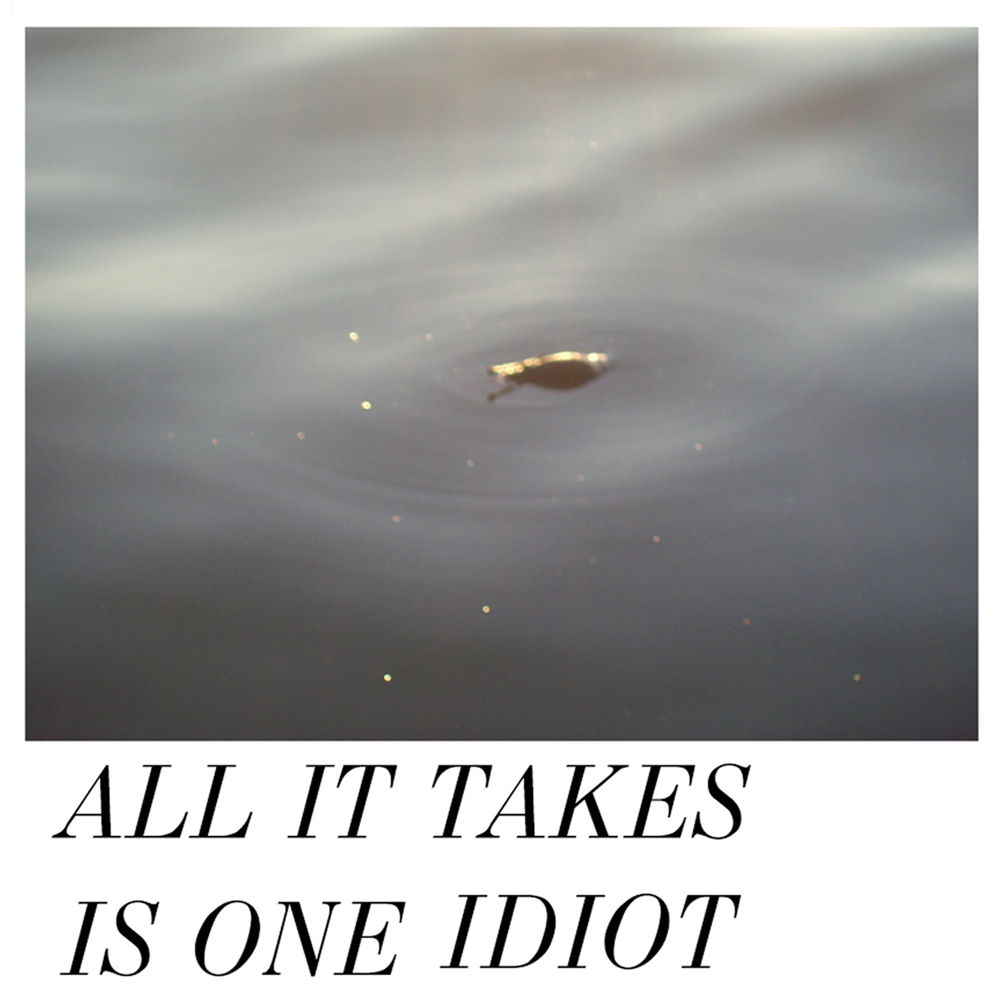 Kοκκαλα – All It Takes Is One Idiot