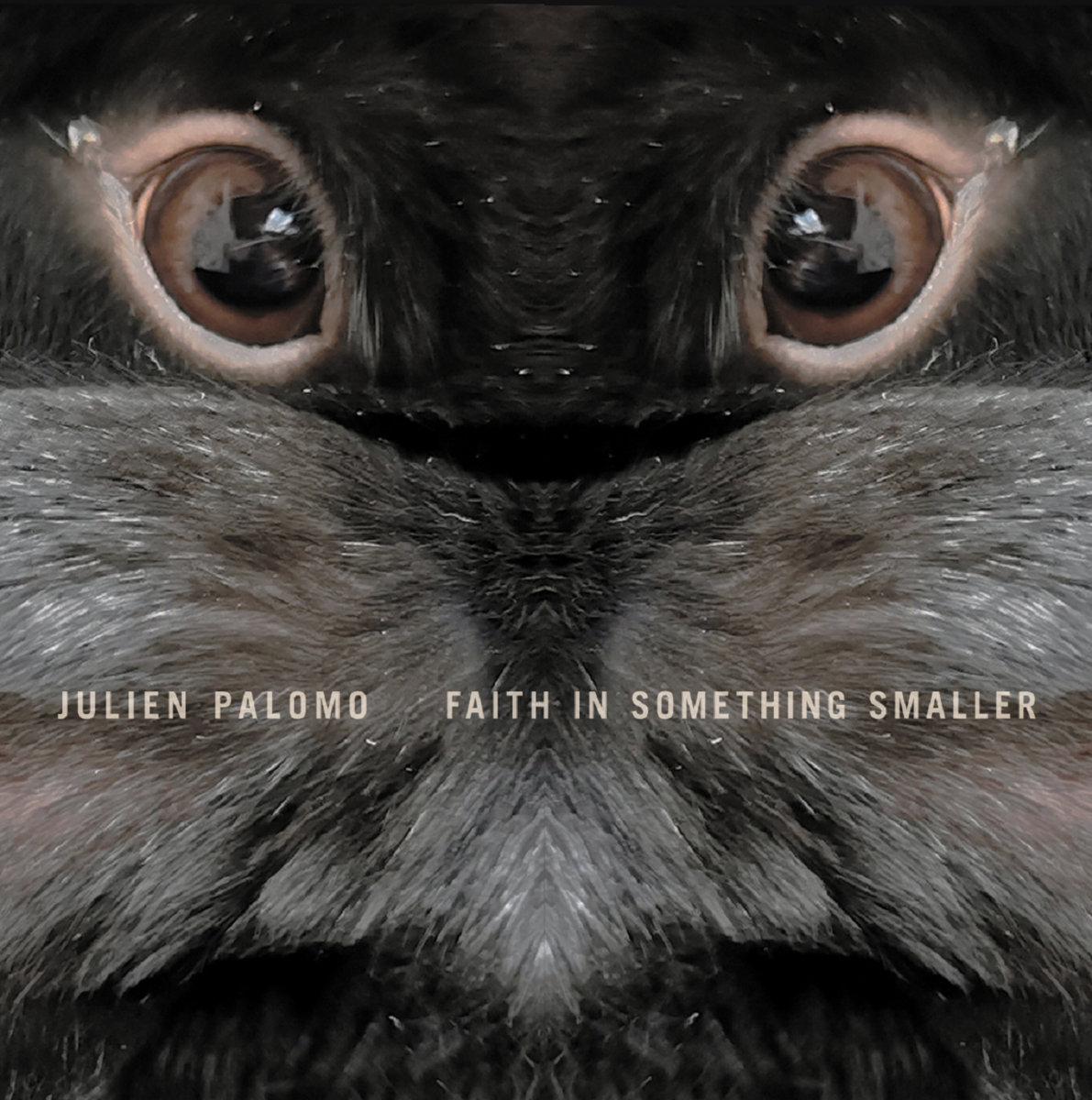 Julien Palomo – Faith In Something Smaller