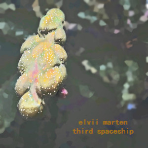Elvii Marten – Third Spaceship
